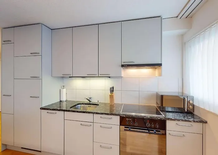 Executive 1Bd Flat City Center - Hoesch 4